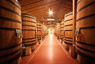 la bodega por dentro.jpg